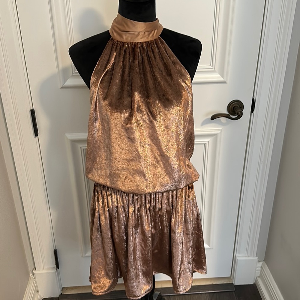 Rant Brook Velvet Lori Dress